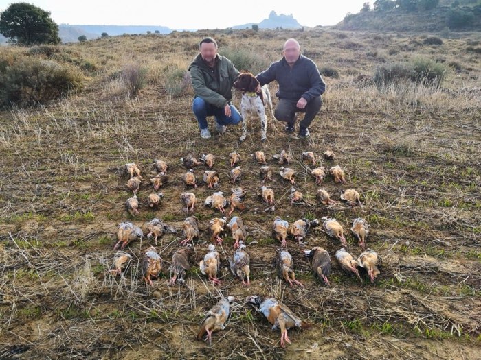 Groupe de chasse posant avec leurs chiens et le tableau de perdrix rouges