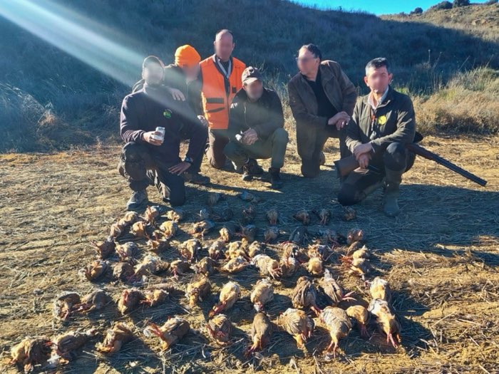 Tableau de chasse de perdrix rouges dans les collines de l'Aragon