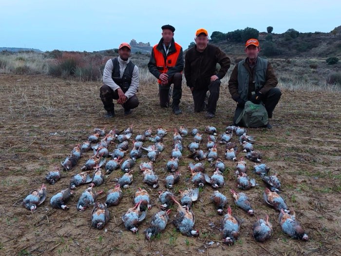 Paysage du domaine de chasse Montearagón avec tableau de perdrix rouges