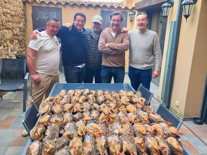 Séjour de chasse en Espagne — tableau de perdrix rouges et chiens d'arrêt