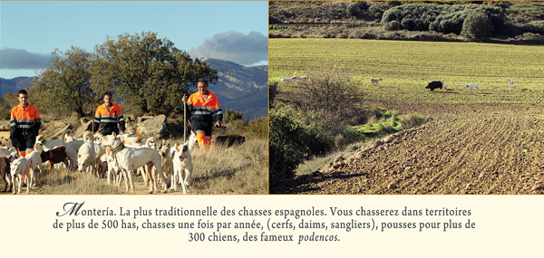 Du juillet à septembre