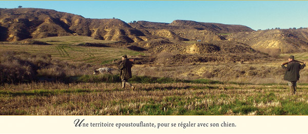 Une territoire epoustouflante, pour se régaler avec son chien