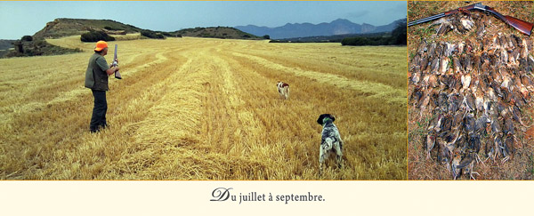 Du juillet à septembre