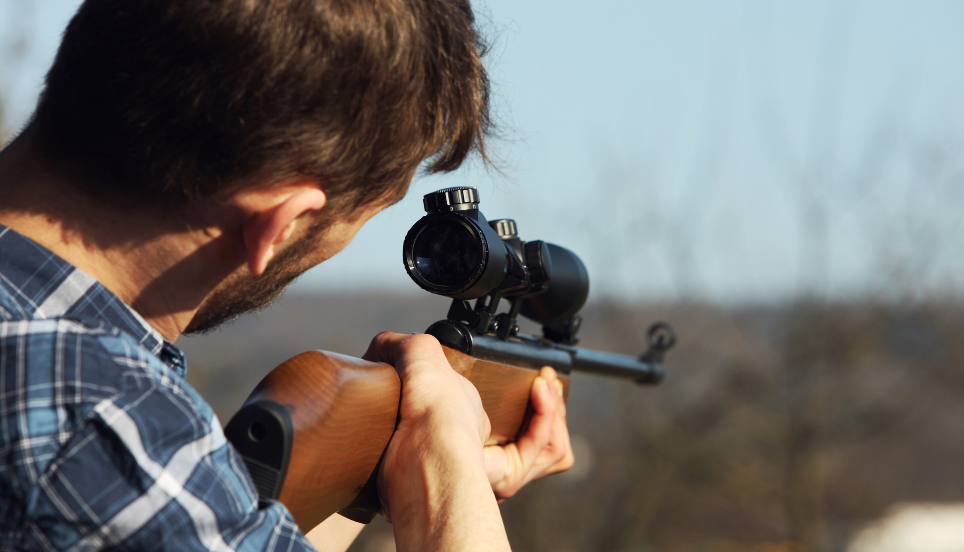Perdrix rouge sauvage — chasse en Aragon, Espagne