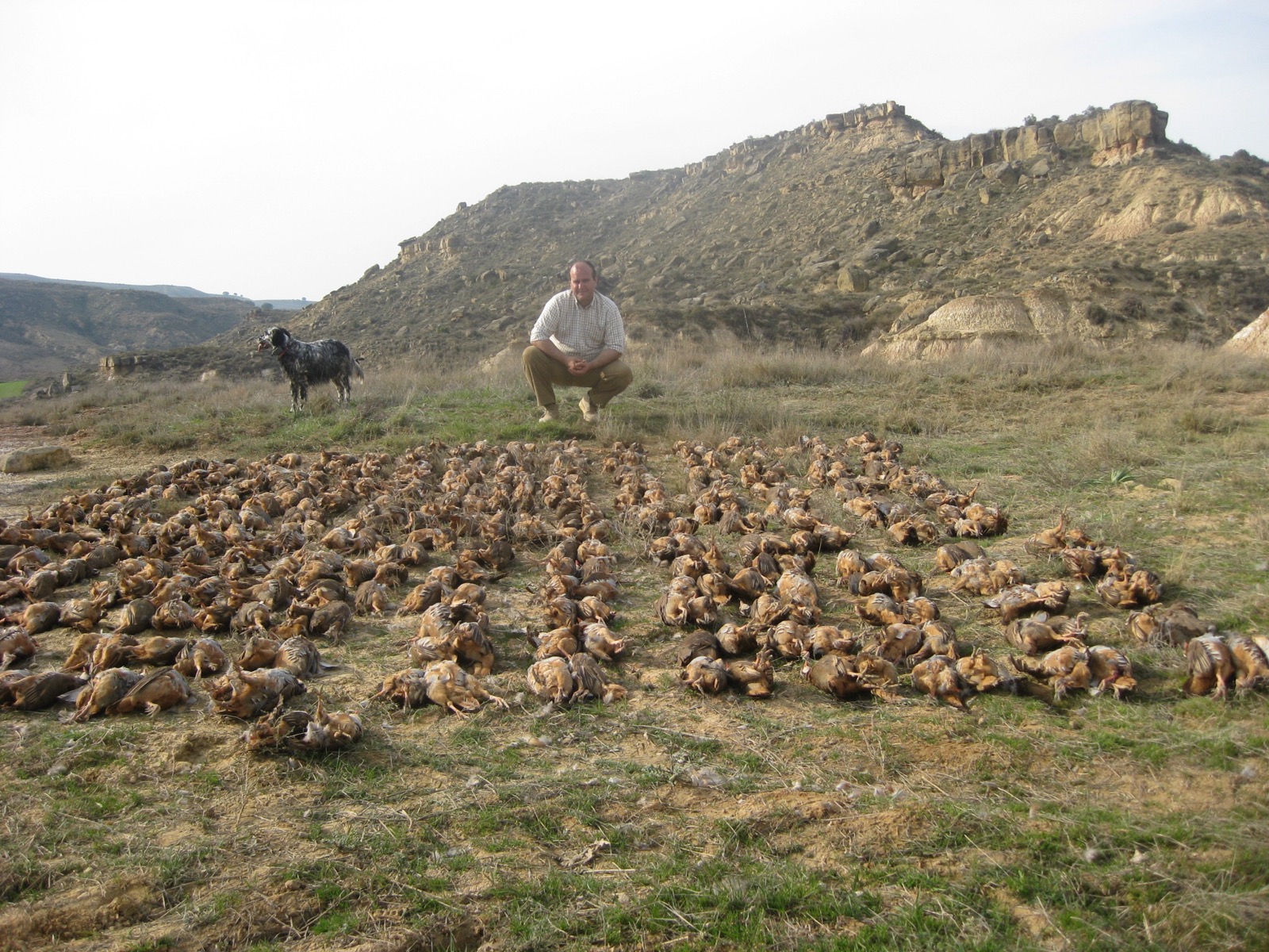Domaine de chasse Montearagón