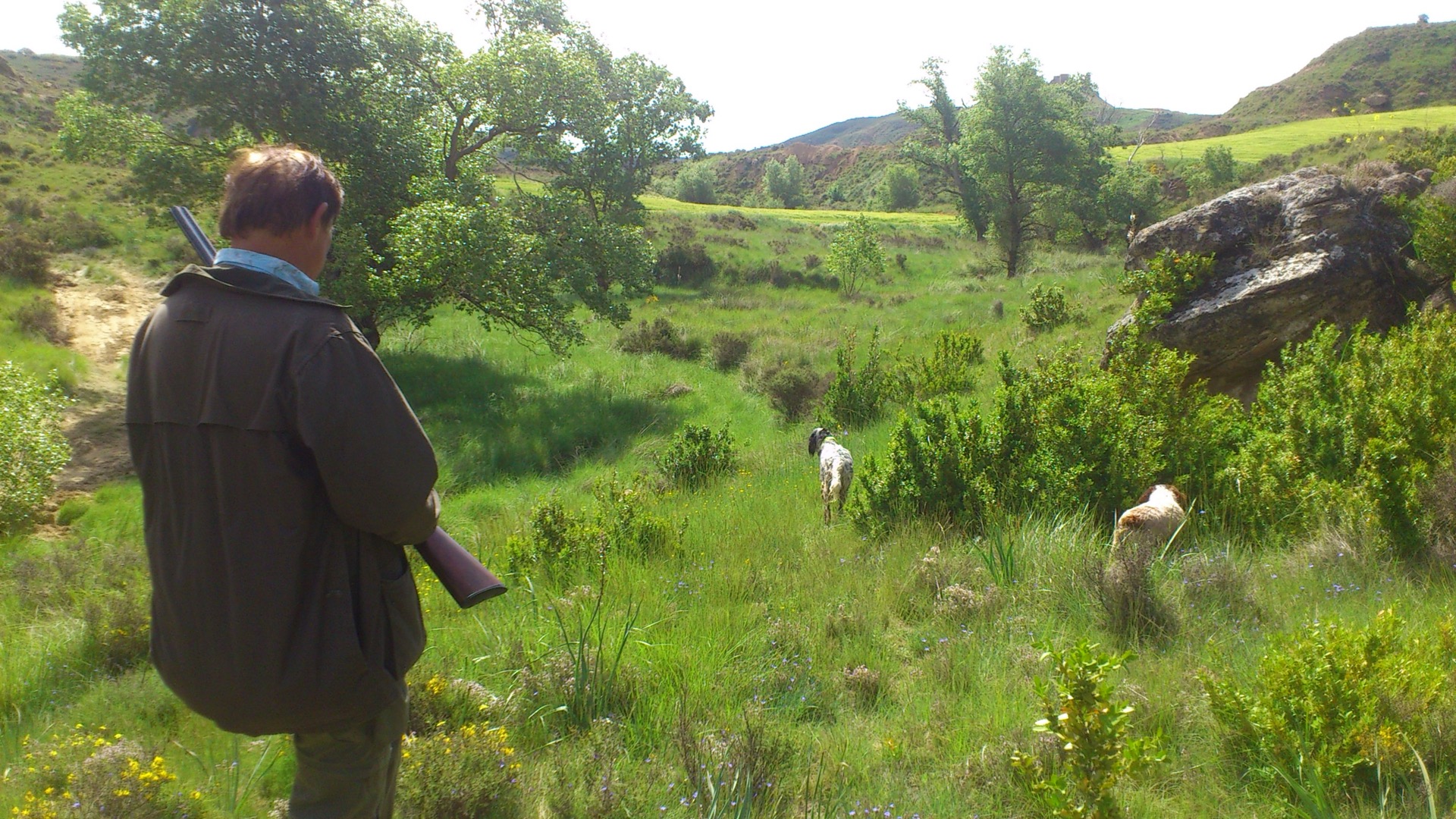 Territoire de chasse du domaine Montearagón, Aragon, Espagne
